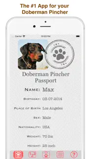 my doberman pinscher problems & solutions and troubleshooting guide - 1