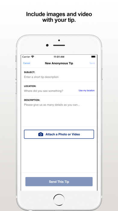 BillericaPD Screenshot