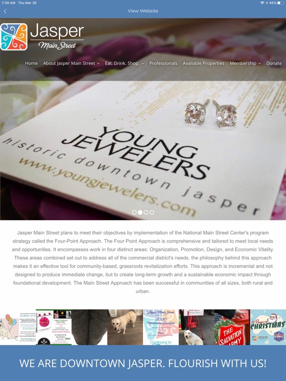 Screenshot #5 pour Jasper Main Street