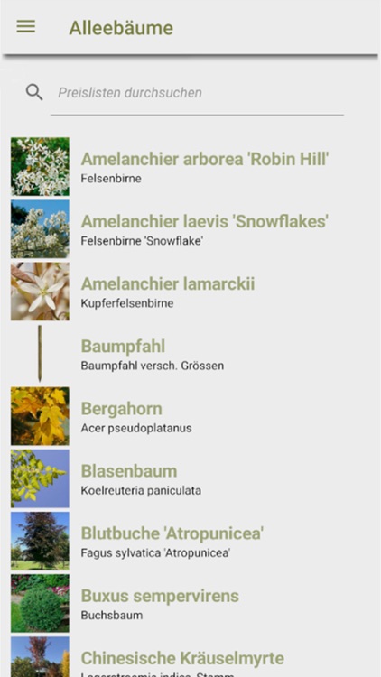 Preisliste Bauer Baumschulen screenshot-3