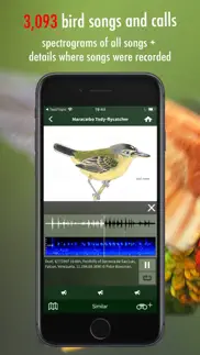 all birds venezuela - guide iphone screenshot 4