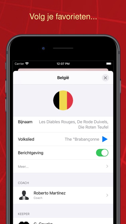 De Rode Duivels screenshot-4