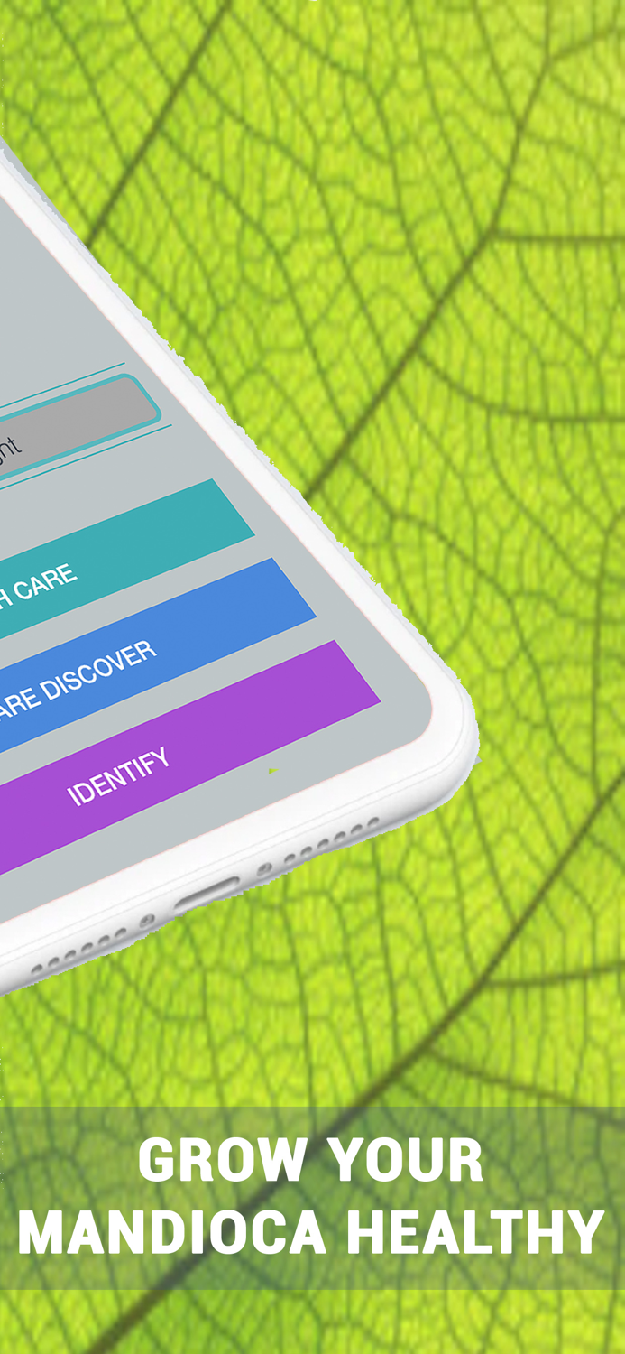 Cassava Plant Disease Identify