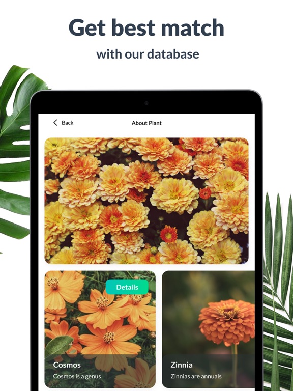 Plant Identification Lite screenshot 2