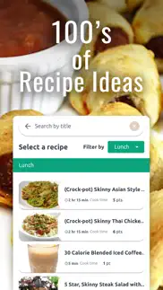 skinny kitchen meal plan app problems & solutions and troubleshooting guide - 3