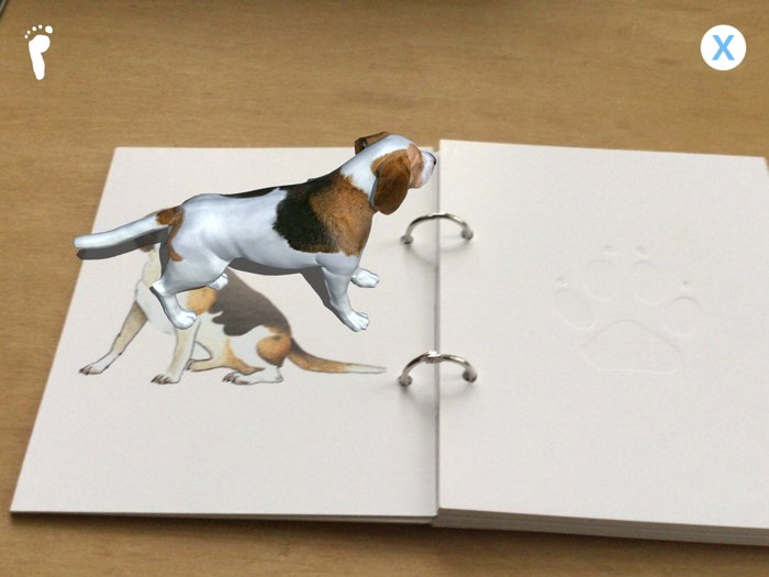 Mein erstes Spurenbuch