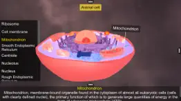 How to cancel & delete prokaryotic & eukaryotic cell 2