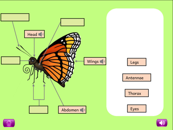 Screenshot #6 pour Naming Plant&Animal Parts Lite