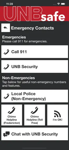 Game screenshot UNB Safe hack