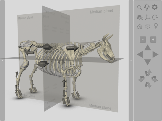 3D Bovine Anatomyのおすすめ画像6