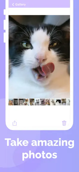 Game screenshot Cat's Cam: selfie of your pet apk