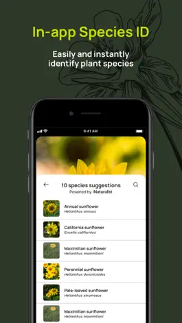 Game screenshot Budburst apk