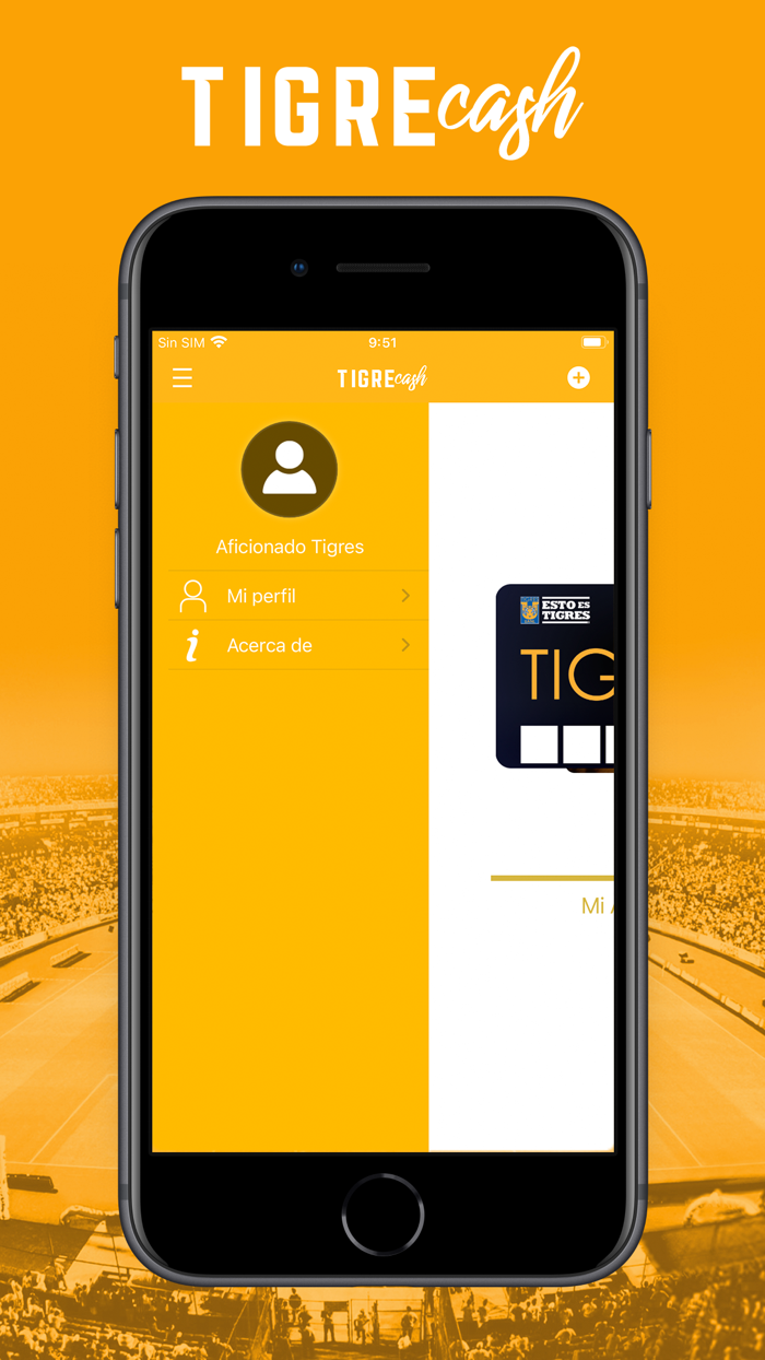 Tigre Cash
