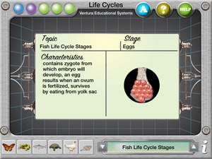 Interactive Life Cycles screenshot #3 for iPad