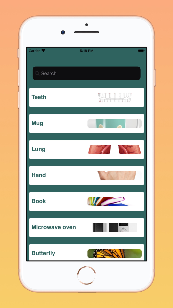 English German Basic Words