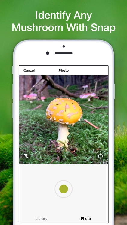 Mushroom Fungus Identifier AI screenshot-3