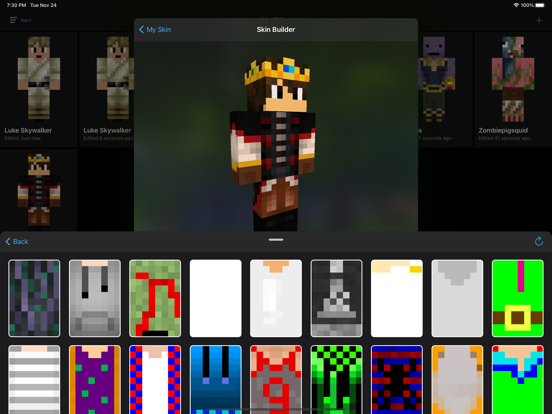 Skin Creator: Diamond Edition iPad app afbeelding 3