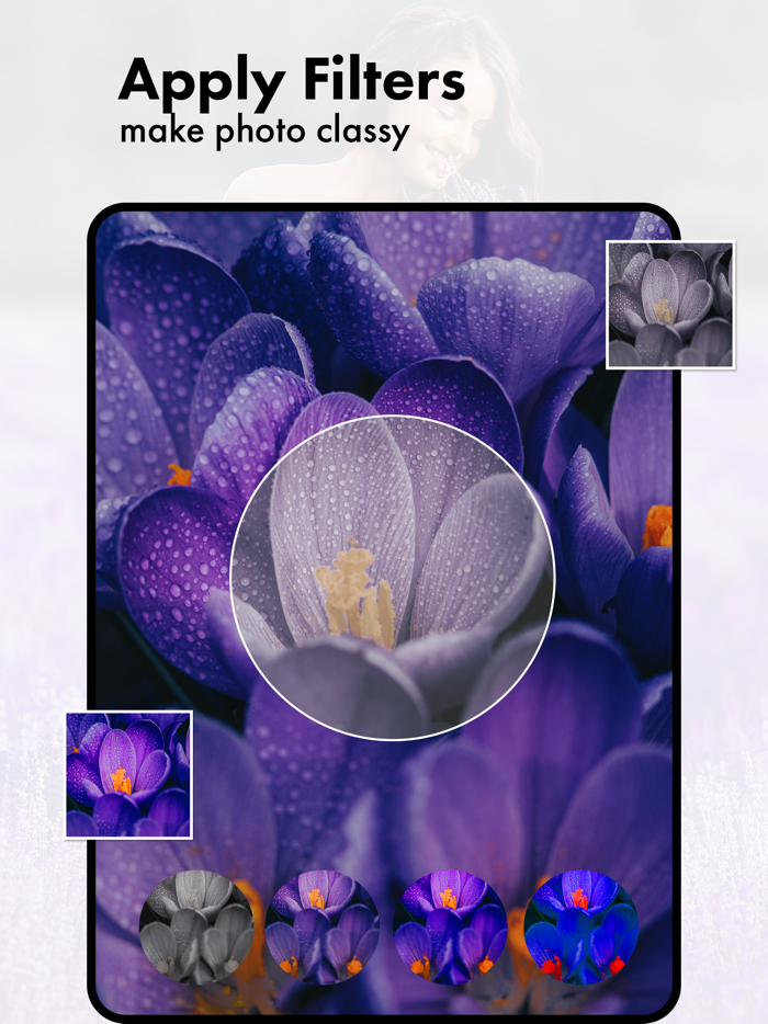 Purple Flower Photo Frames