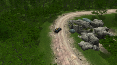 Go Rally Screenshot