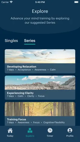 Game screenshot Potential Project apk