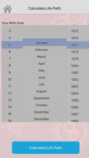 your numerology calculator iphone screenshot 2