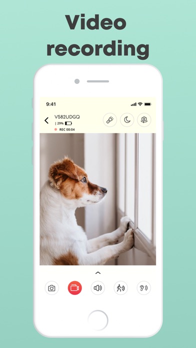 Dog monitor Doggy Screenshot