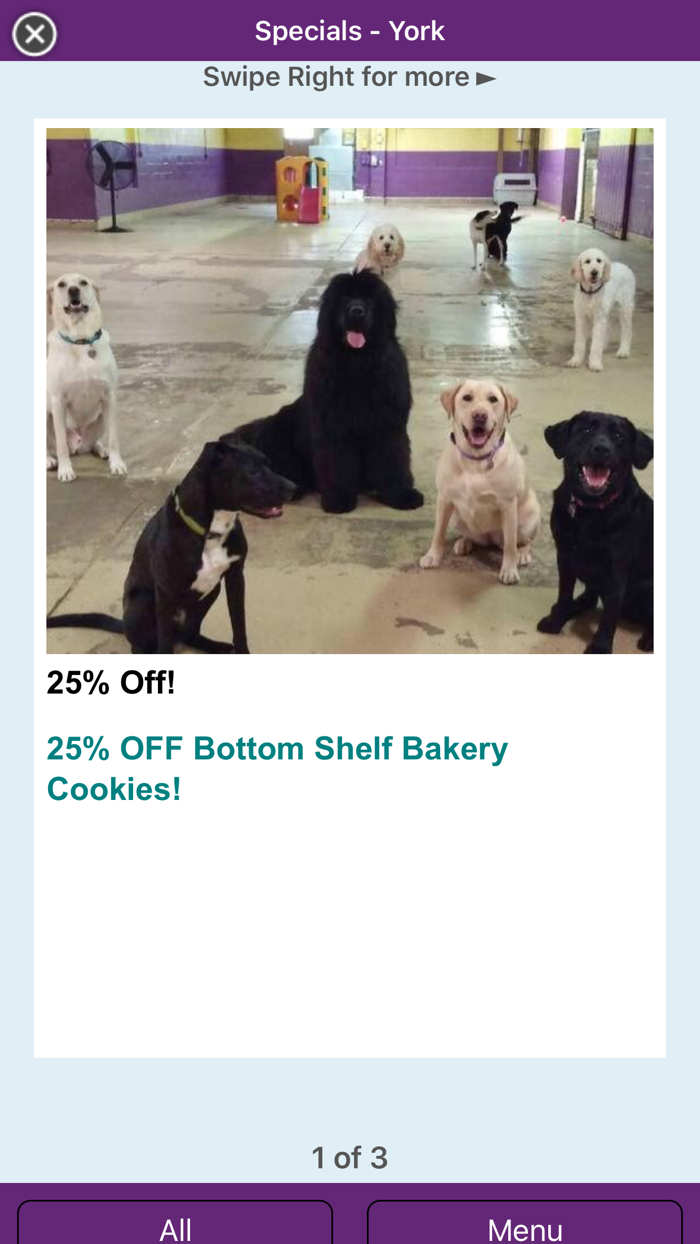 Morgans Paws Pet Care Center