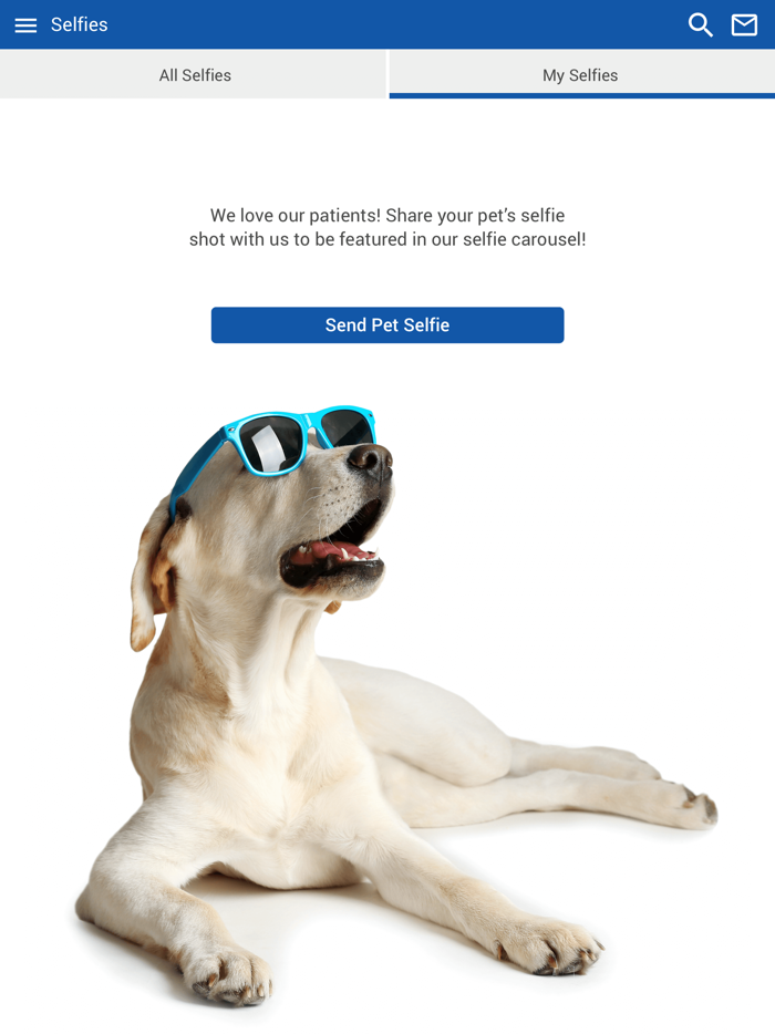 OConnor Road Animal Hospital