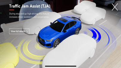 Acura INDEX Screenshot