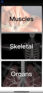 Anatomy Quiz Pro screenshot #4 for iPhone