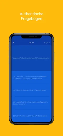 Game screenshot BZF: Flugfunkprüfung hack