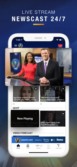 Game screenshot WSOC-TV hack