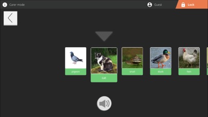 Voice — AMIKEO APPS Screenshot