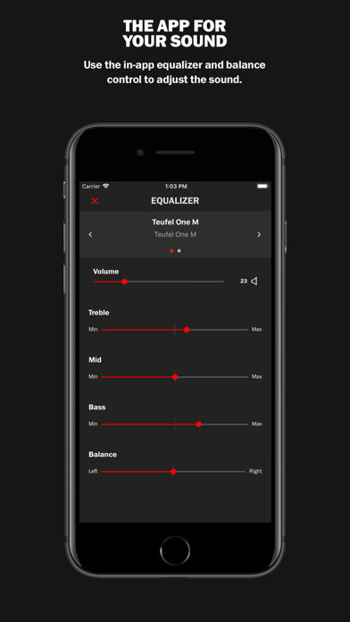 Teufel Raumfeld Screenshot