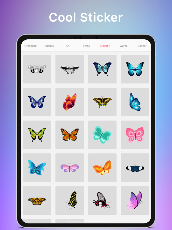 Calligraphy - Art Maker