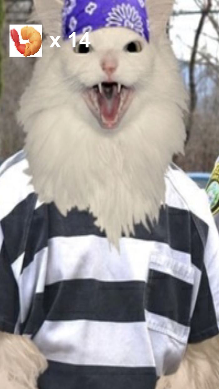 Thurston Waffles MDHE