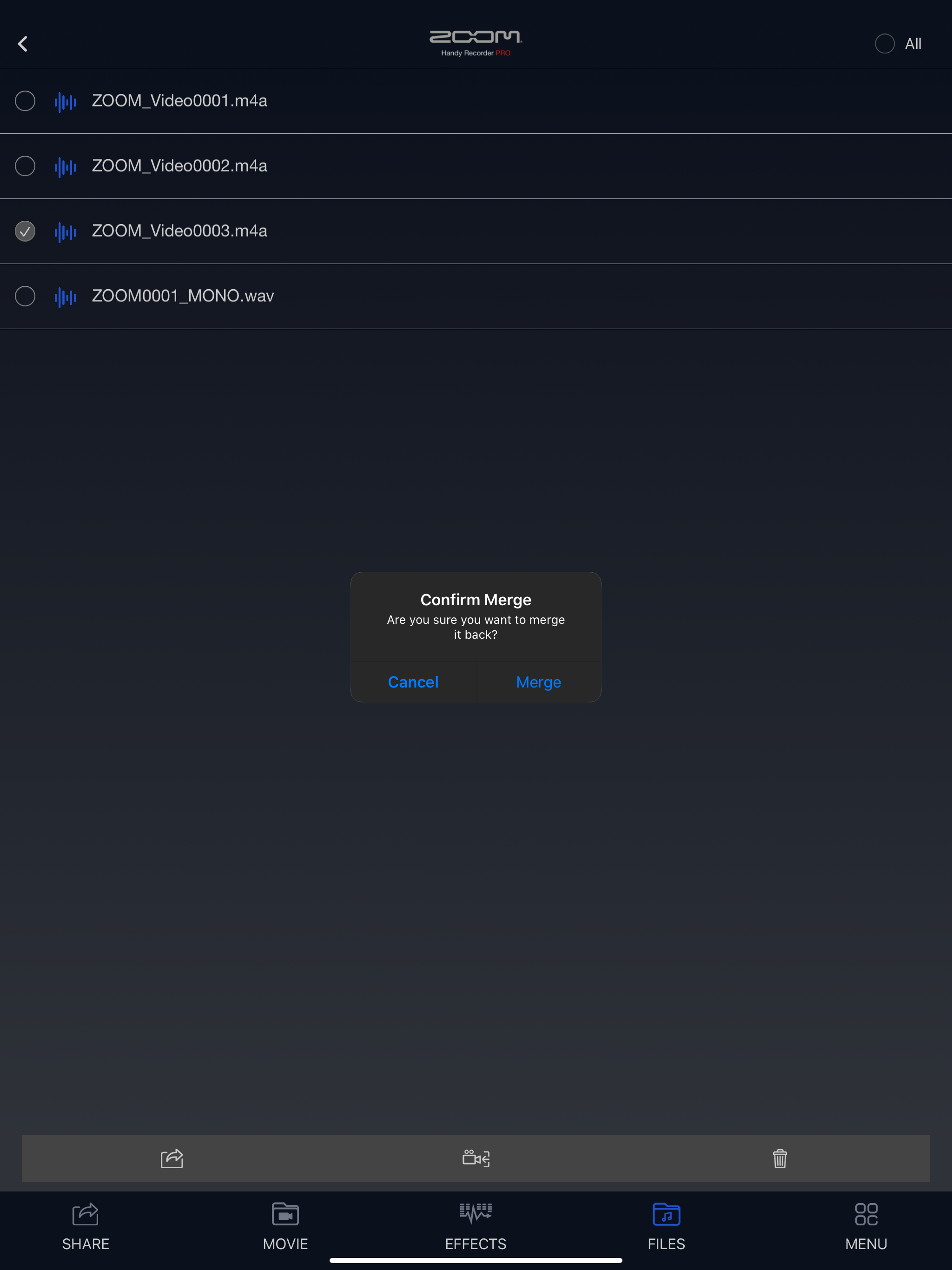 Handy Recorder PRO