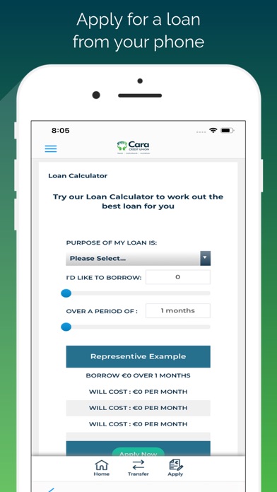 Cara Credit Union Screenshot