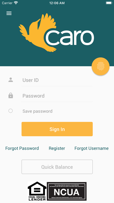 Caro Smart Financial Solutions Screenshot