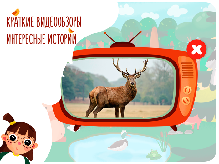 Детская игра Звуки животных