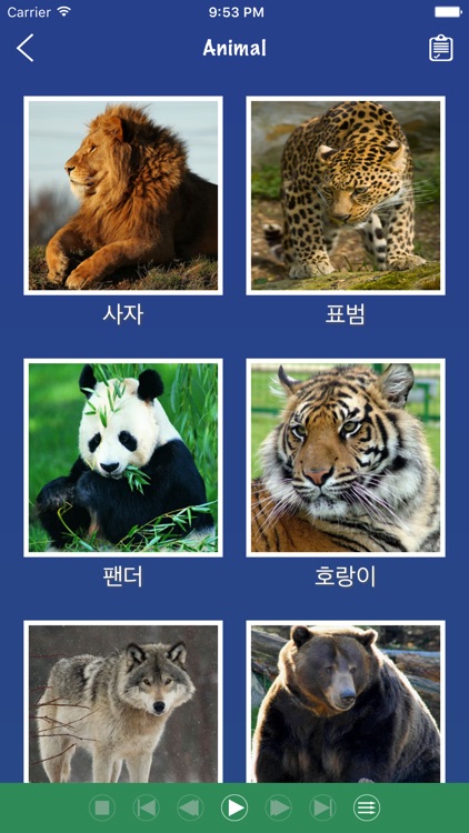 Korean Word Flashcards Learn