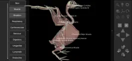 Game screenshot 3D Bird Anatomy apk