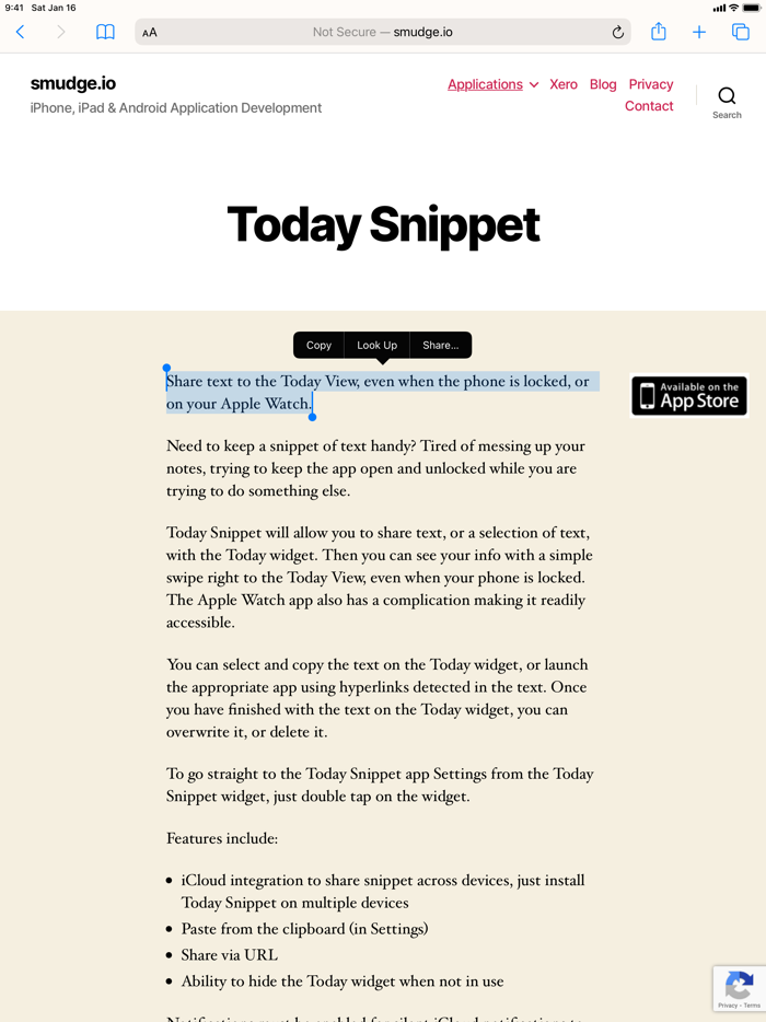 Today Snippet Widget