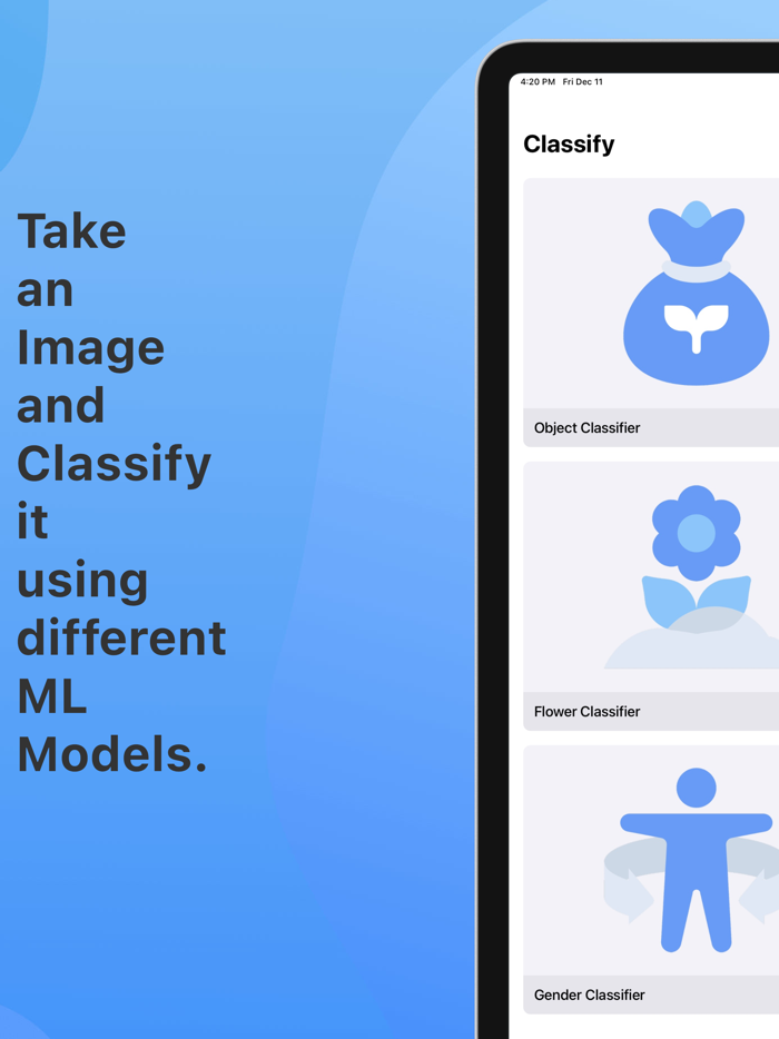 Classify Image Classifier