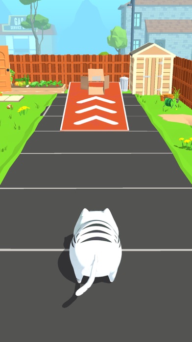 Cat Toss League Screenshot