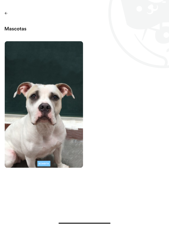 Screenshot #5 pour TornadoPet