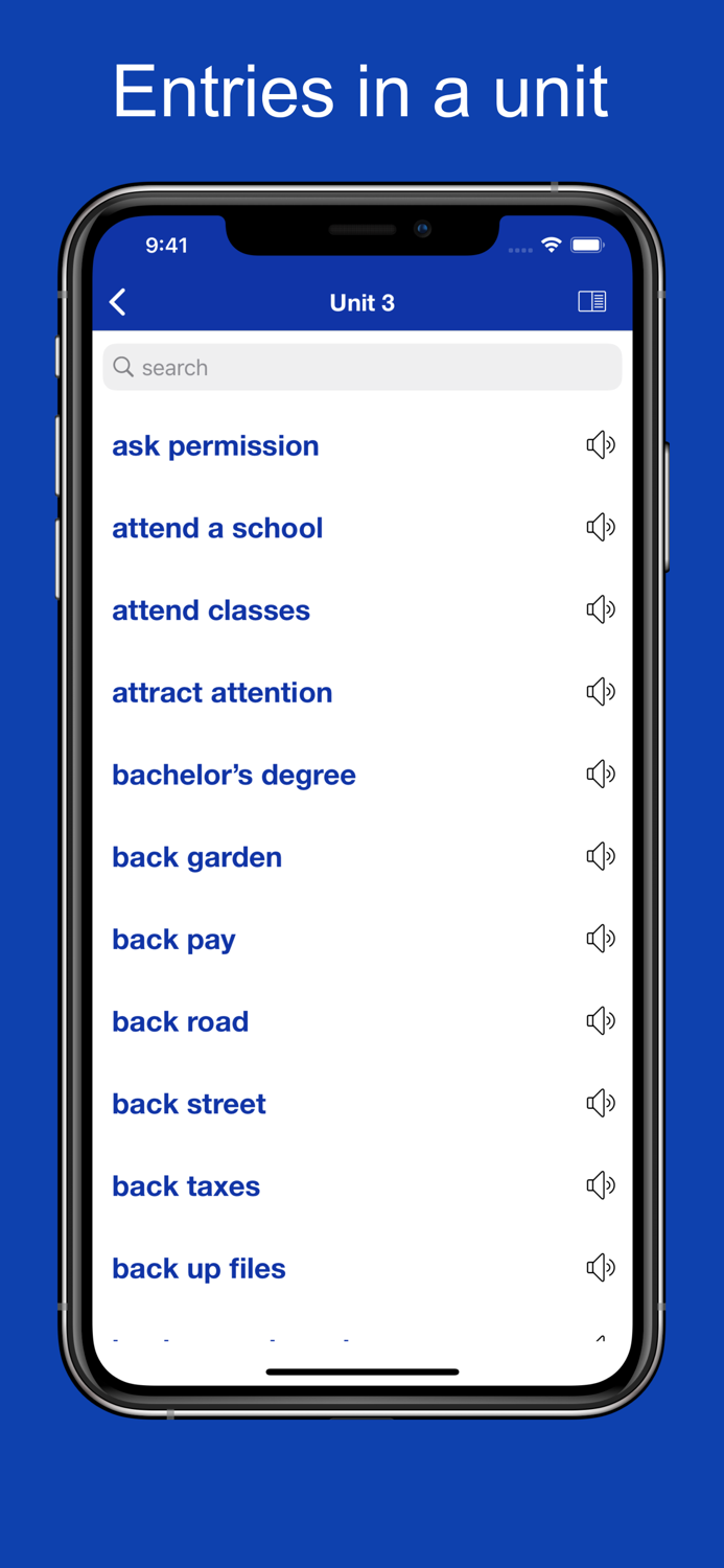 Common Phrases and Collocations