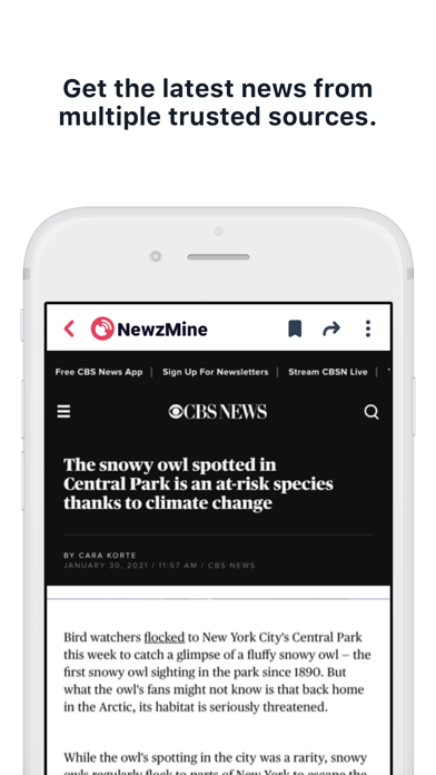 NewzMine Screenshot