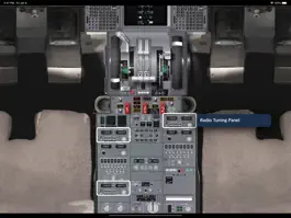 Game screenshot B737 cockpit hack