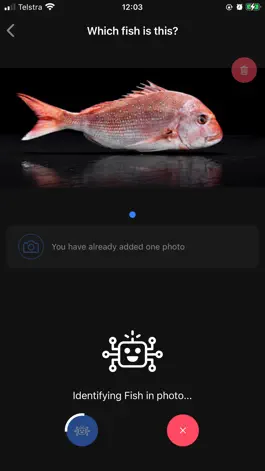 Game screenshot QLD Fishing 2.0 apk